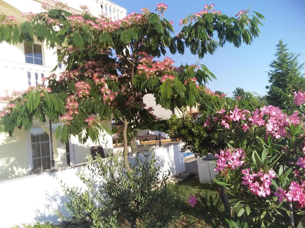 House Apartments Ariamare Poreč Buitenkant foto