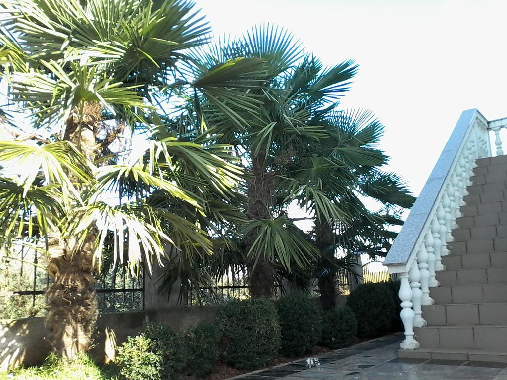 House Apartments Ariamare Poreč Buitenkant foto